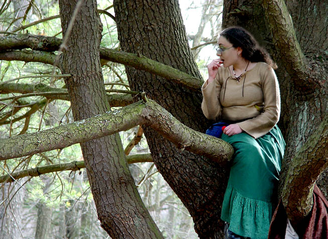 Seed in a Tree